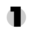 Icono 1